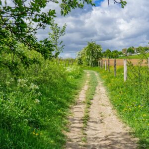 Wandelpad-Dutch-Mountain-trail