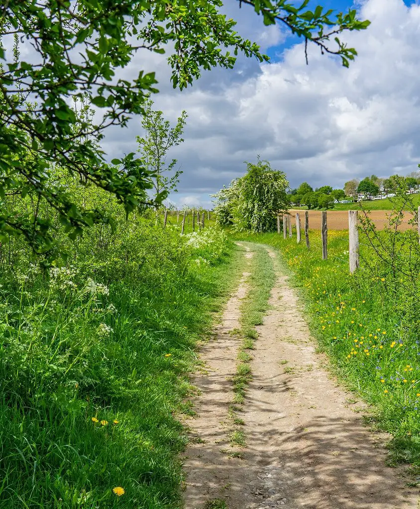 Wandelpad-Dutch-Mountain-trail