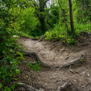 Dutch-Mountain-Trail-onverharde-weggetjes
