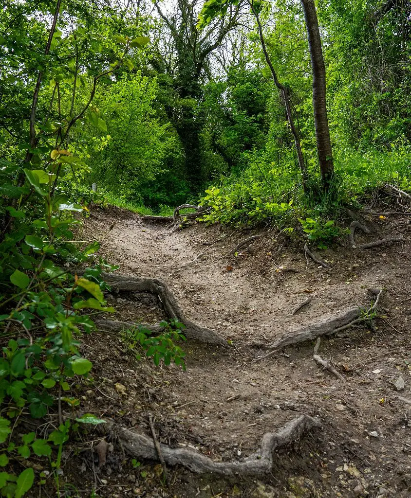 Dutch-Mountain-Trail-onverharde-weggetjes