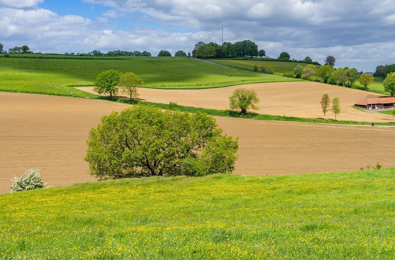 Uitzicht-over-Zuid-Limburgs-landschap