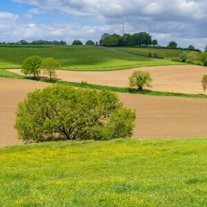 Uitzicht-over-Zuid-Limburgs-landschap