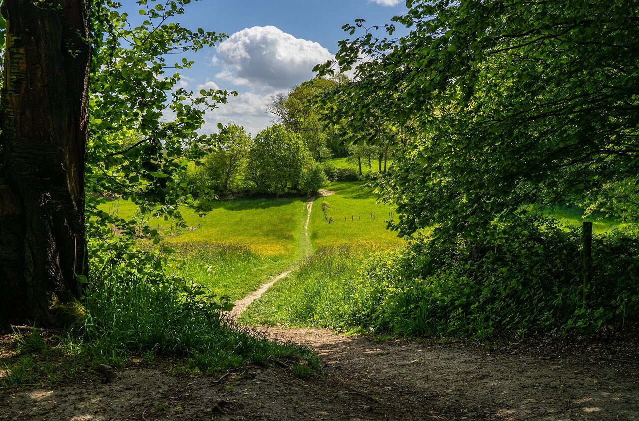 Weggetje-door-Zuid-Limburg