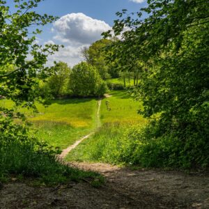 Weggetje-door-Zuid-Limburg