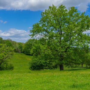 Weide-Dutch-Mountain-Trail