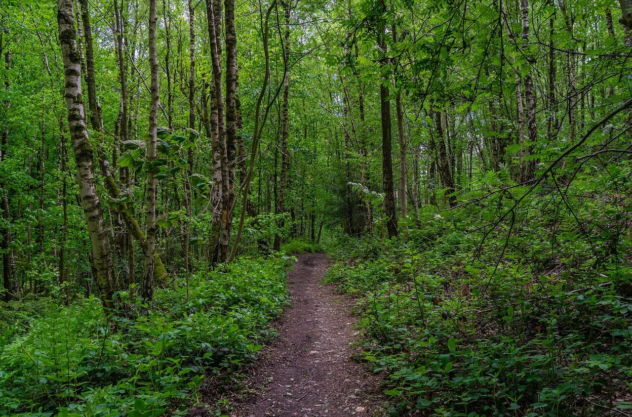 Wandelen-Hakkenberg