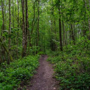 Wandelen-Hakkenberg