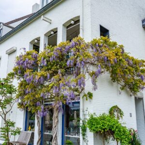 Fotogeniek-huisje-in-Eijsden