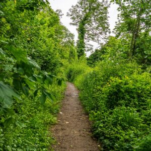 Wandelroute-op-dn-Observant