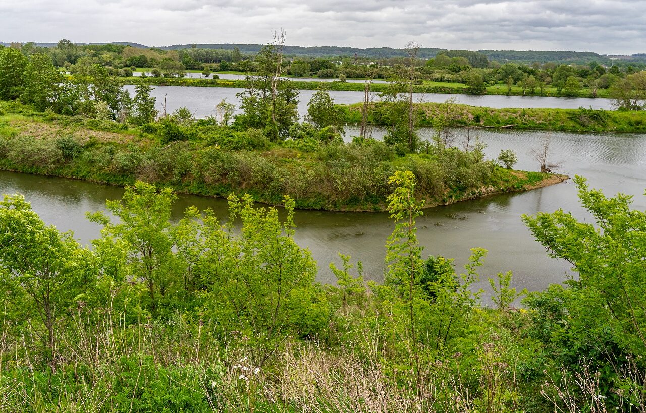 Lagune-Maas-Zuid-Limburg