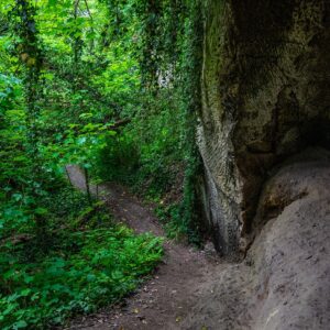 Wandelroute-naar-top-Dn-Observant