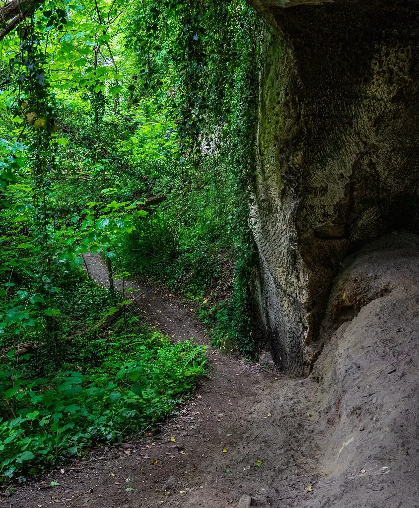 Wandelroute-naar-top-Dn-Observant