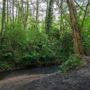 Etappe-1-Dutch-Mountain-Trail