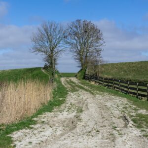 Friese-Woudenpad-Jacoba