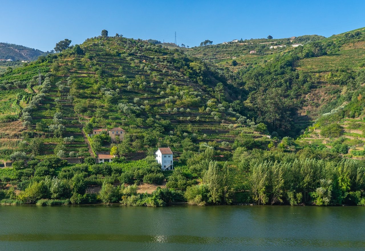 Douro-vallei-bezoeken-wijngaarden