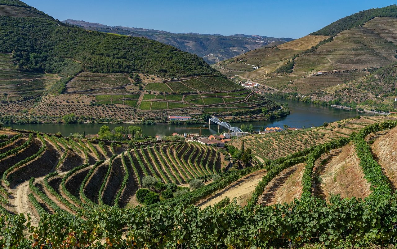 wijngaarden-van-bovenaf-in-Douro-vallei-Portugal