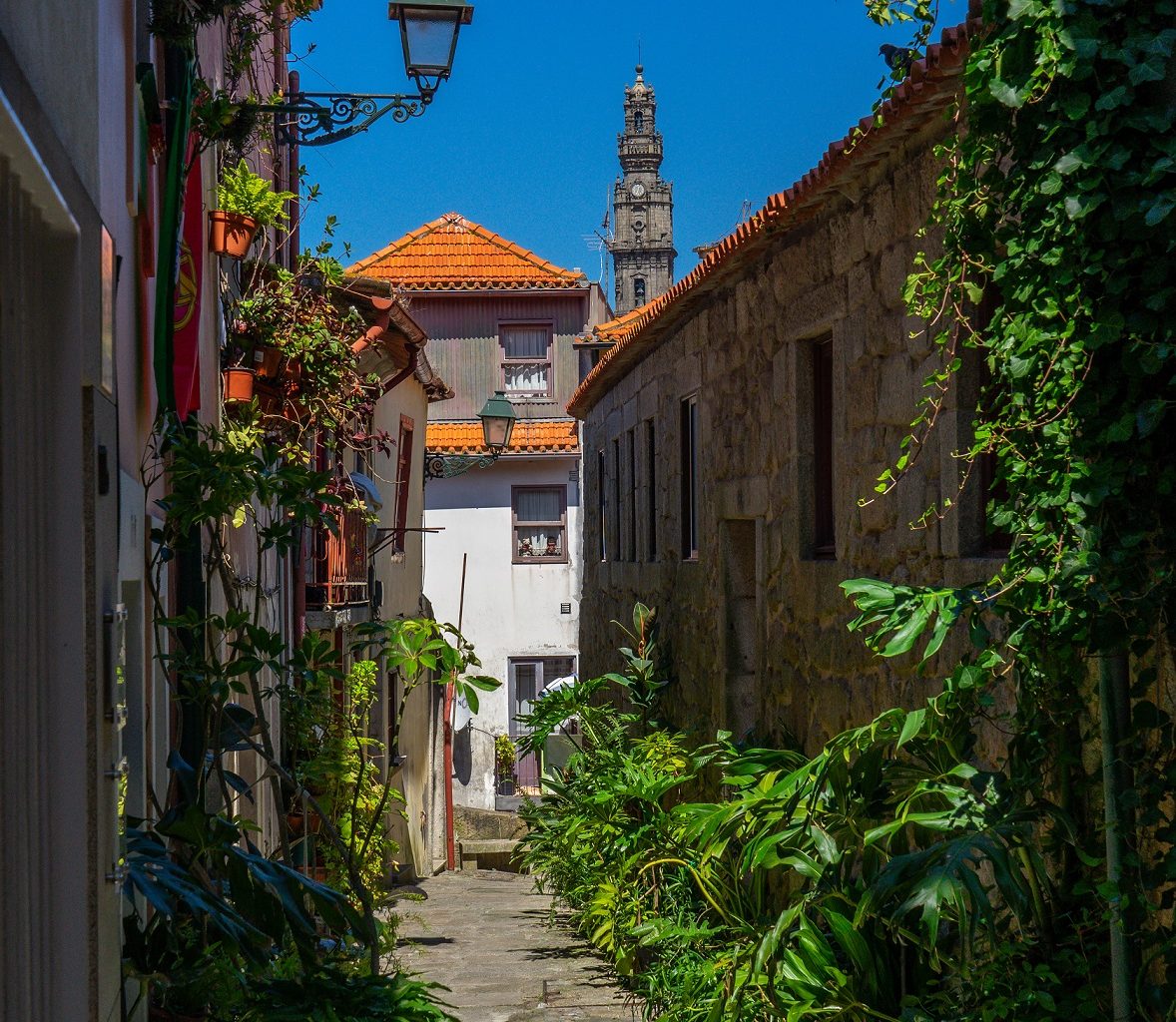 Fotogenieke-straatjes-met-planten-Ribeira-Porto