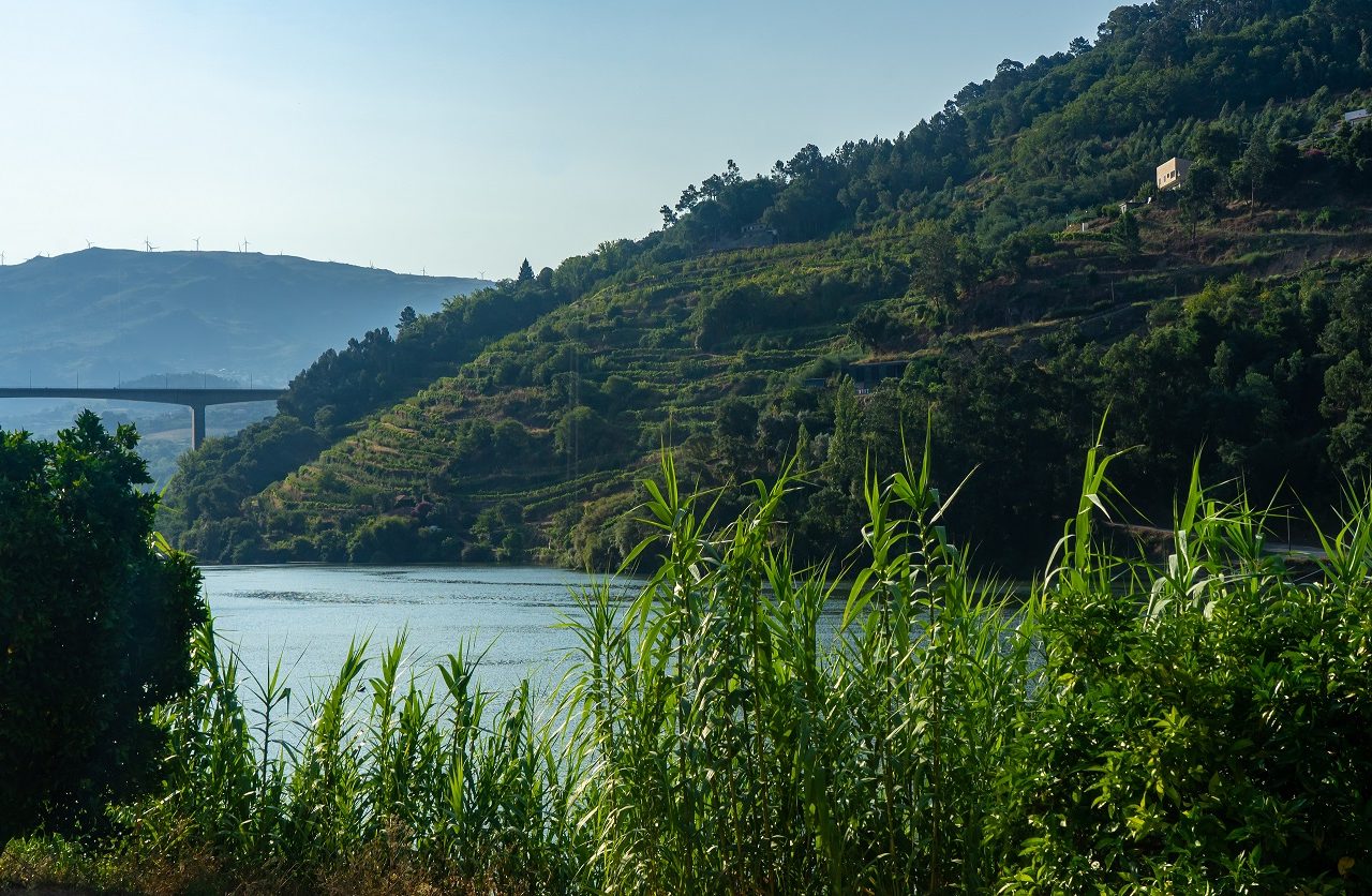 Douro-rivier-vanaf-oever