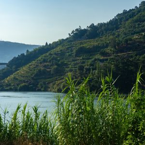 Douro-rivier-vanaf-oever