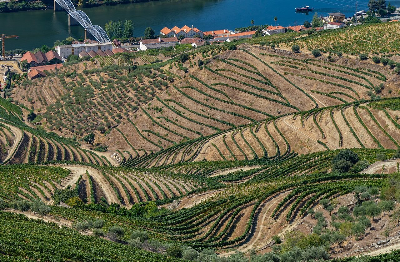 Douro-vallei-bezoeken-wijngaarden