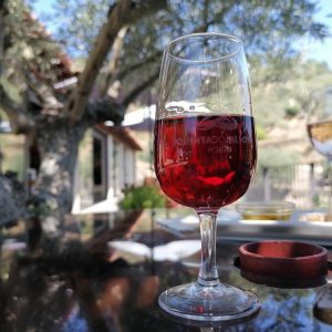 Glas-port-bij-quinta-douro-vallei-bezoeken