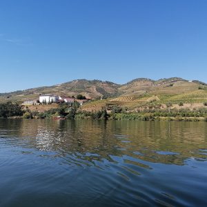 Douro-vallei-vanaf-het-water
