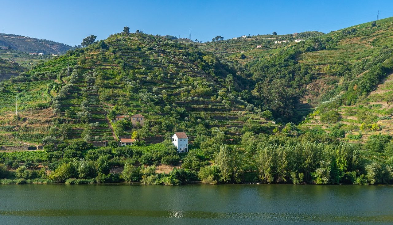Douro-vallei-vanaf-de-trein