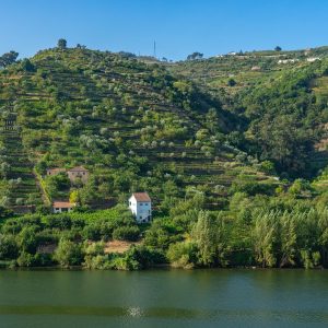 Douro-vallei-vanaf-de-trein