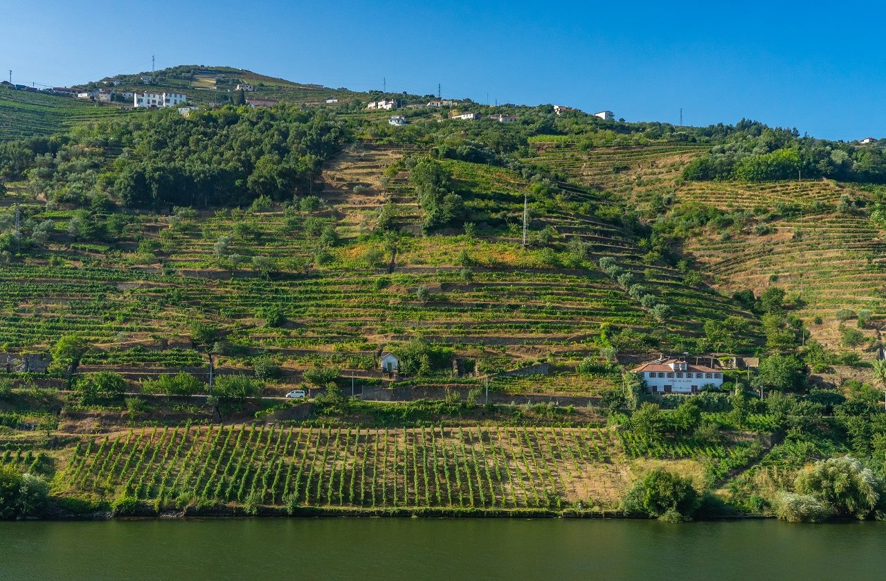 Wijnterrassen-langs-Douro-rivier-portugal