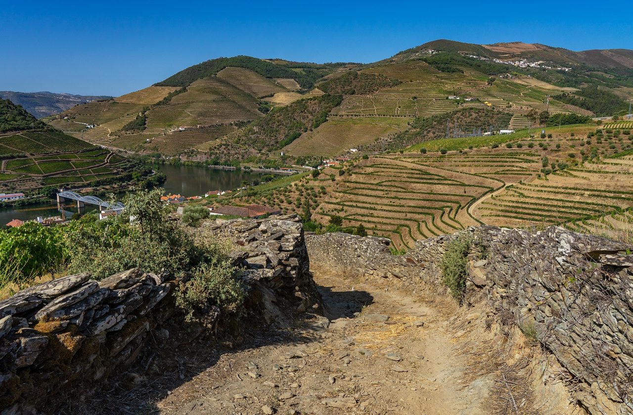 Wandelpad-langs-wijngaarden-Pinhao-douro-vallei