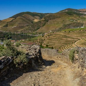 Wandelpad-langs-wijngaarden-Pinhao-douro-vallei