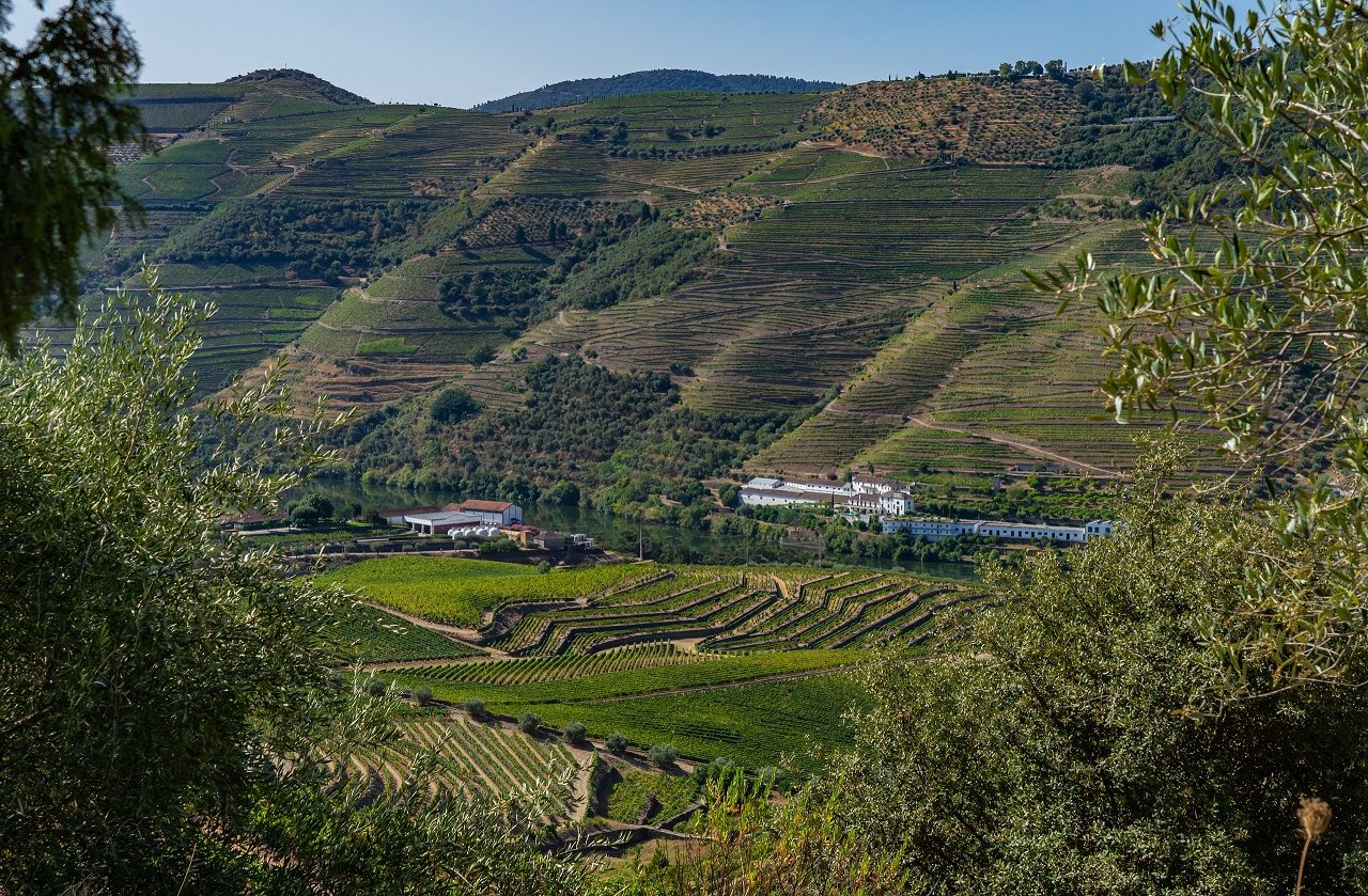 Wijngaarden-bij-Pinhao-Douro