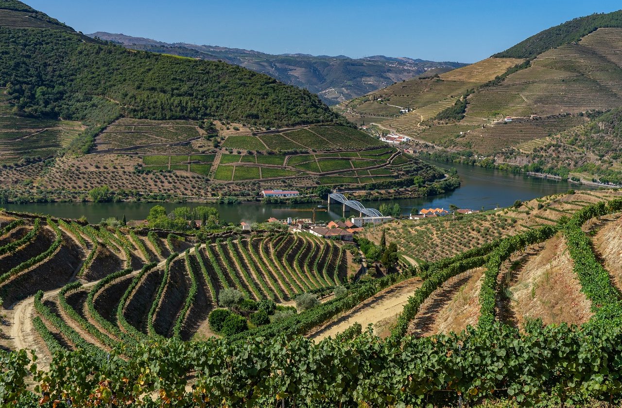 Wijnterrassen-bij-Pinhao-met-uitzicht-op-Douro