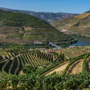 Wijnterrassen-bij-Pinhao-met-uitzicht-op-Douro