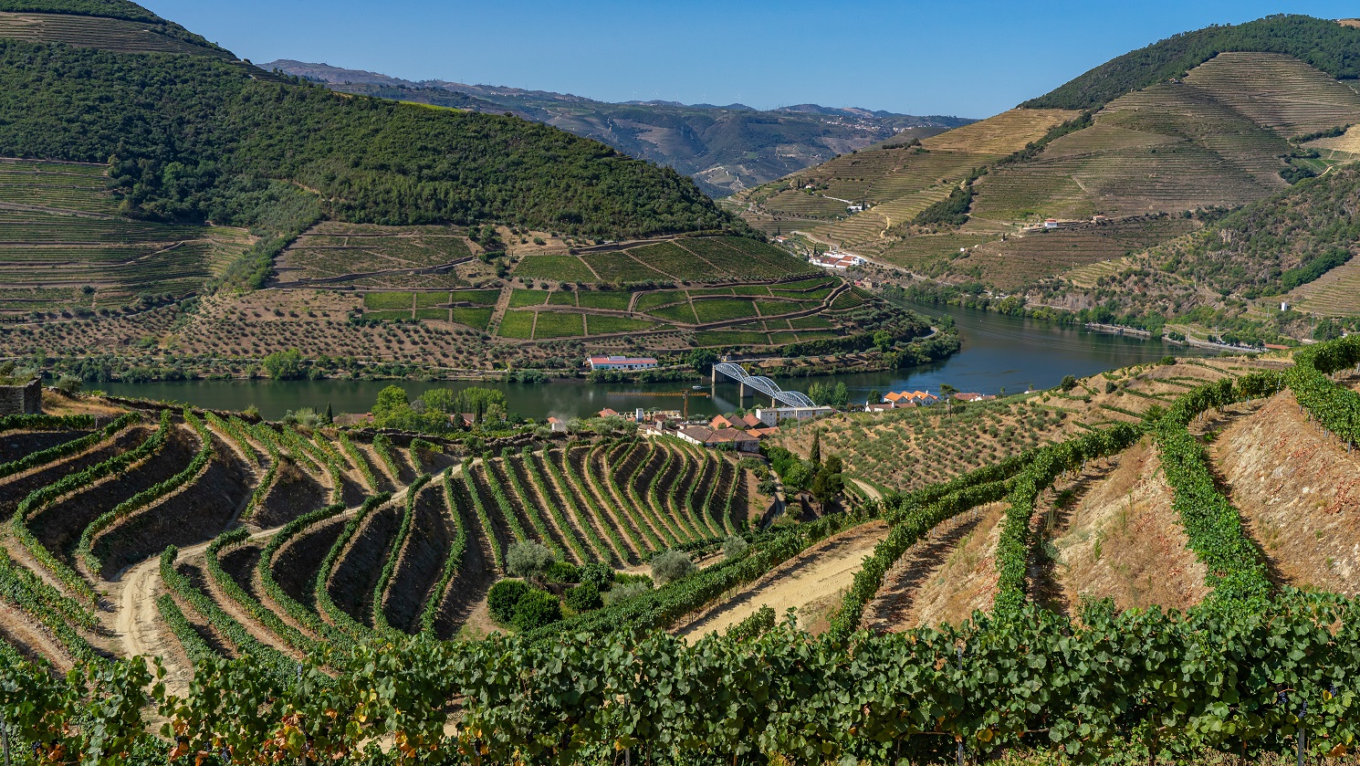 Wijnterrassen-bij-Pinhao-met-uitzicht-op-Douro