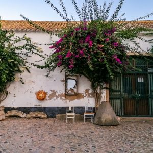 Historische-binnenstad-Faro-Portugal
