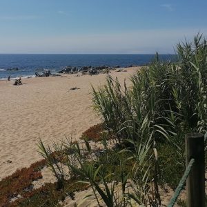 Praia-Madalena-surfen-Portugal