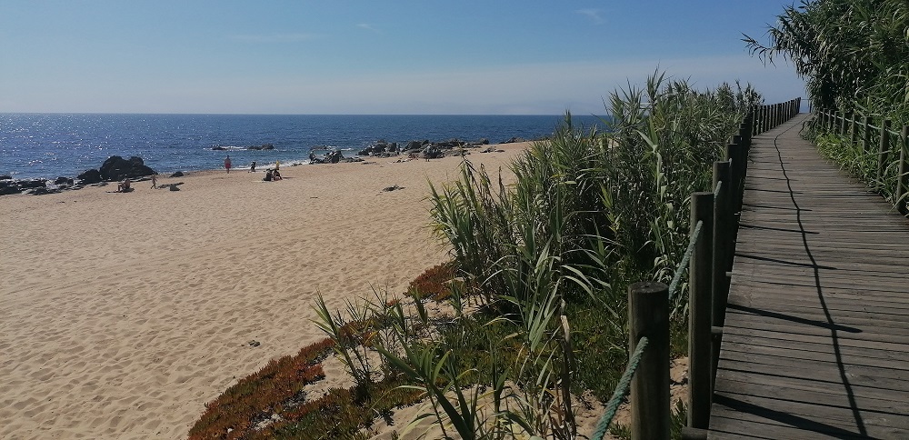 Praia-Madalena-surfen-Portugal