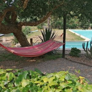 Salty-days-lodge-Portugal