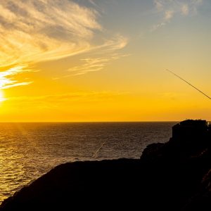 Visser-in-Peniche-Portugal
