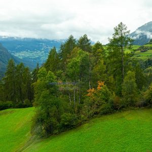 Uitzicht-Bernina-Express-treinreis