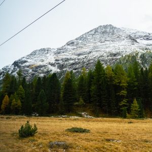 Uitzicht-Bernina-Express-treinreis