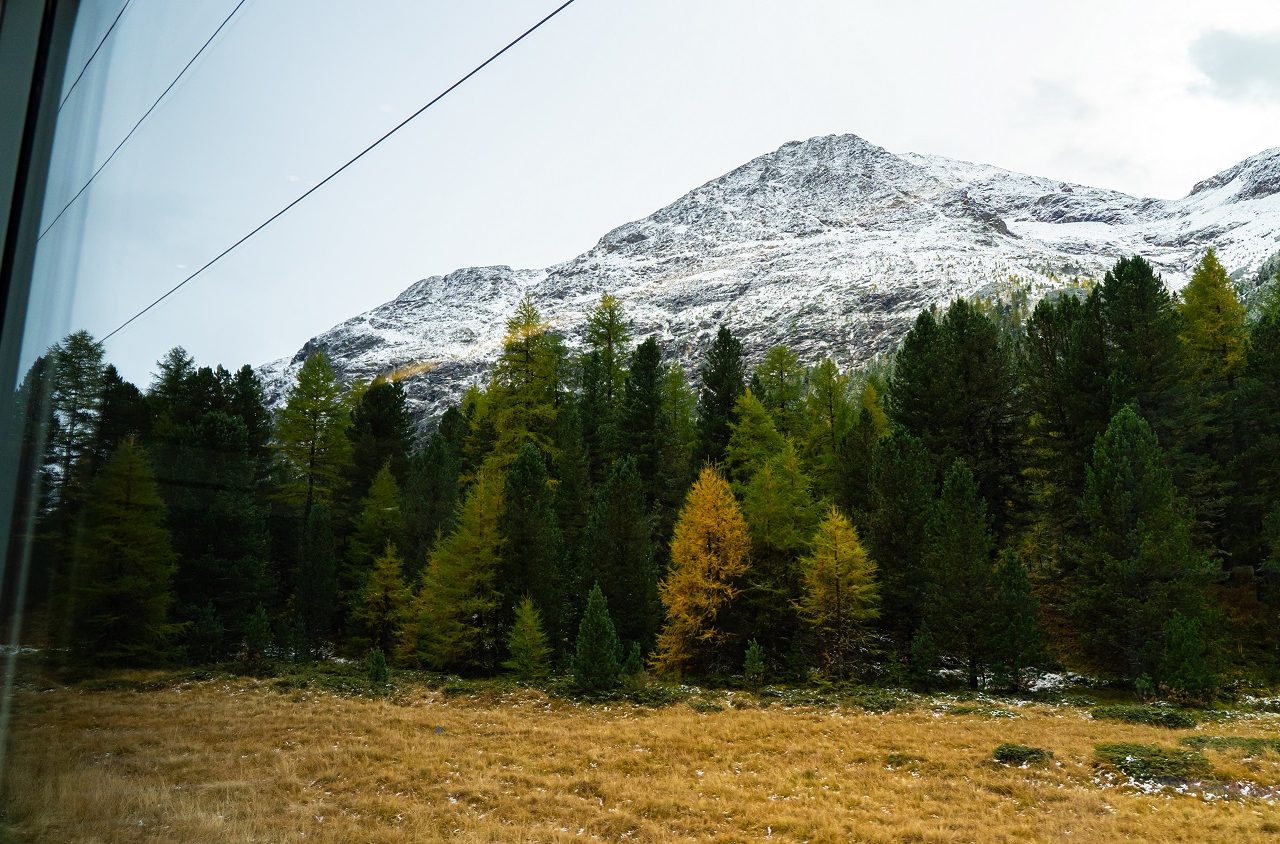 Uitzicht-Bernina-Express-treinreis