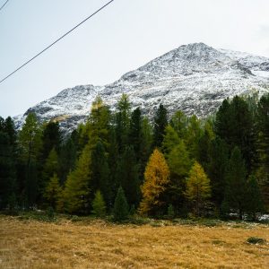 Uitzicht-Bernina-Express-treinreis