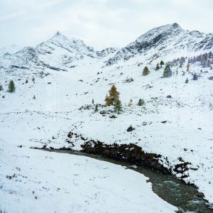 Sneeuw-winterlandschap-tijdens-Bernina-Express