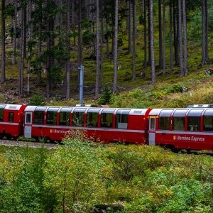 Bernina-Express-door-bossen