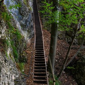 Trap-naar-uitzichtpunt-Bled