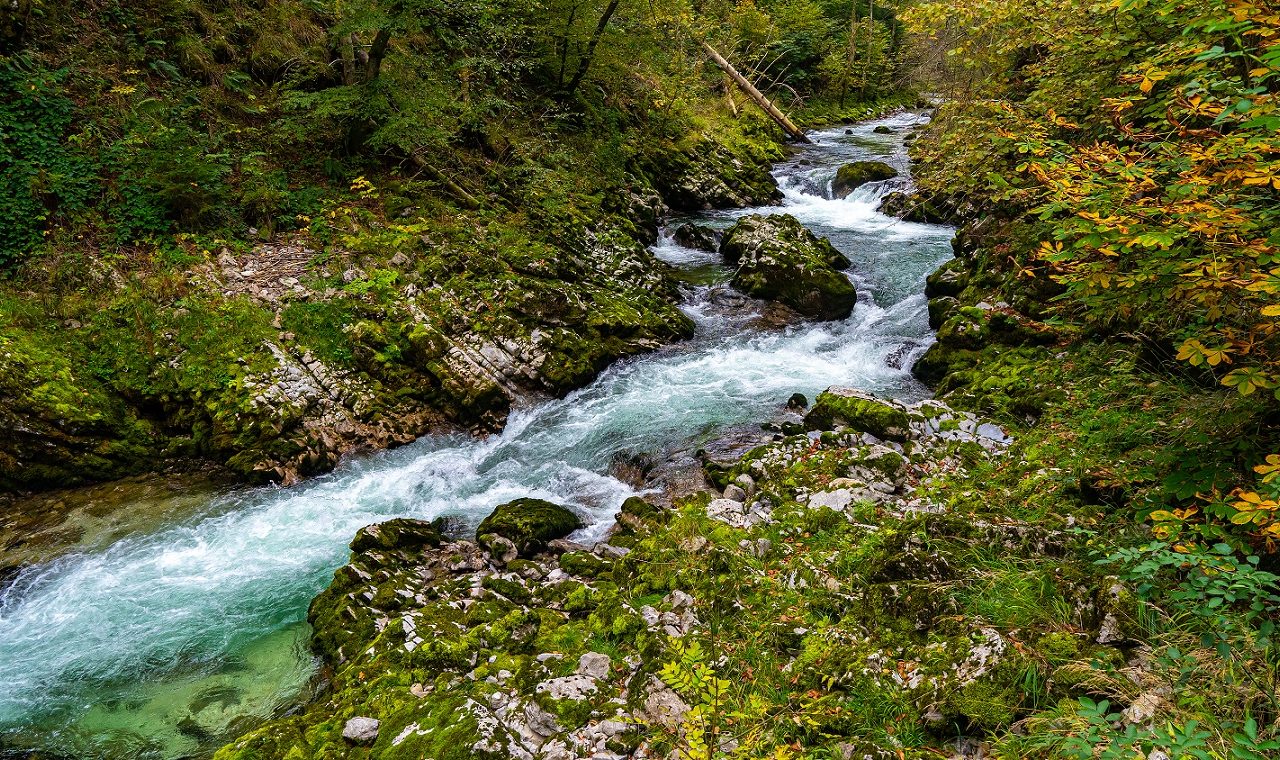 Radovna-rivier-Vintgarkloof-Slovenie