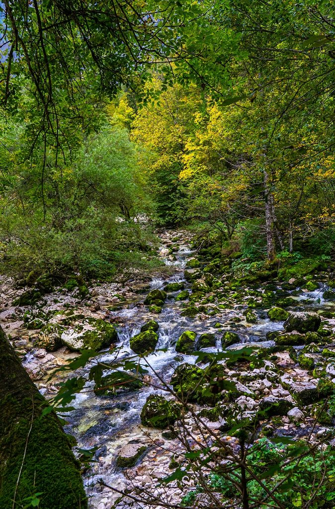Rivier-Triglav-Nationaal-Park-Slovenie