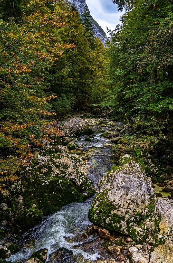 Rivier-Triglav-Nationaal-Park-Slovenie